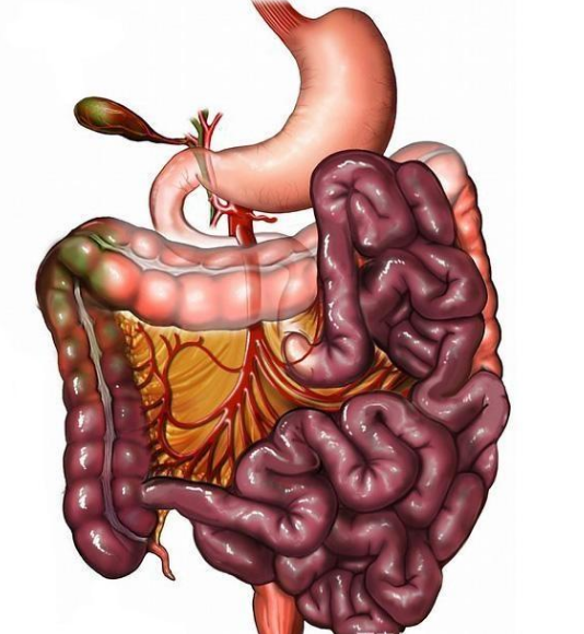 腸息肉者，排便出現(xiàn)3個(gè)異常，十有八九息肉已變成“癌”